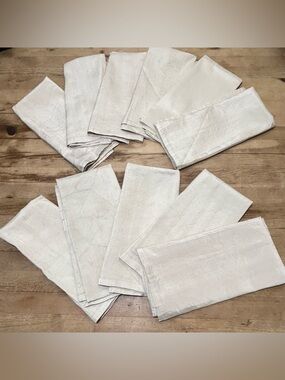 Bella Champagne Silk Table Napkins 11 Pce Set